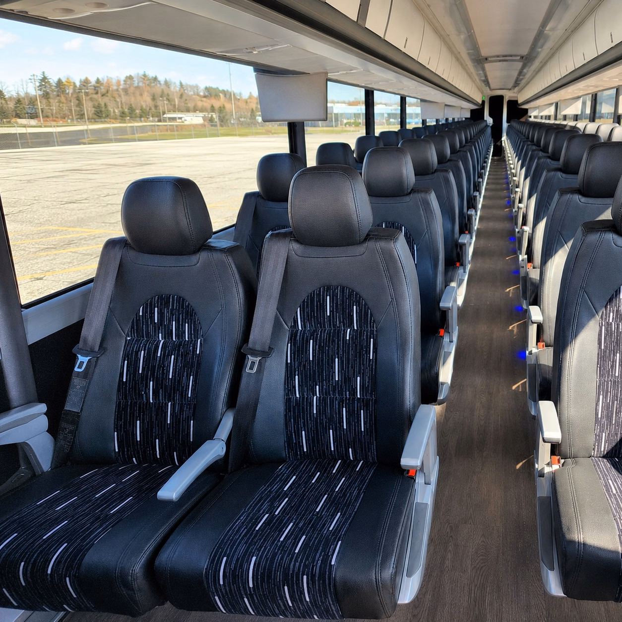san antonio field trips from pharr are completely doable with the right charter bus